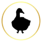 Cuisse de canard (prix au kg) – Image 1